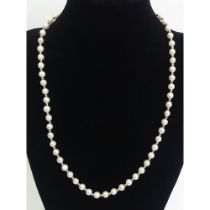 9ct gold and cultured pearl necklace, 14.8 grams, 46cm x 5.5cm.