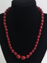 Cherry amber graduated bead necklace, 19 grams, 43cm long, largest bead 11mm diameter.
