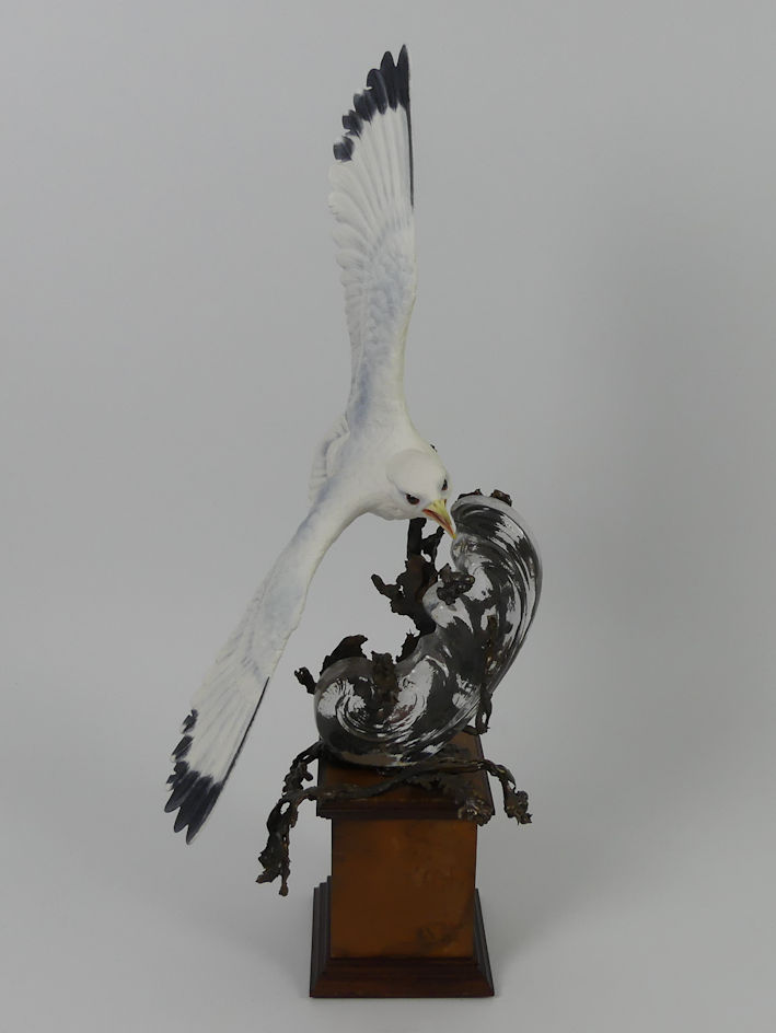 Albany Limited Edition china and bronze Kittiwake mounted on a wooden socle, modelled by David