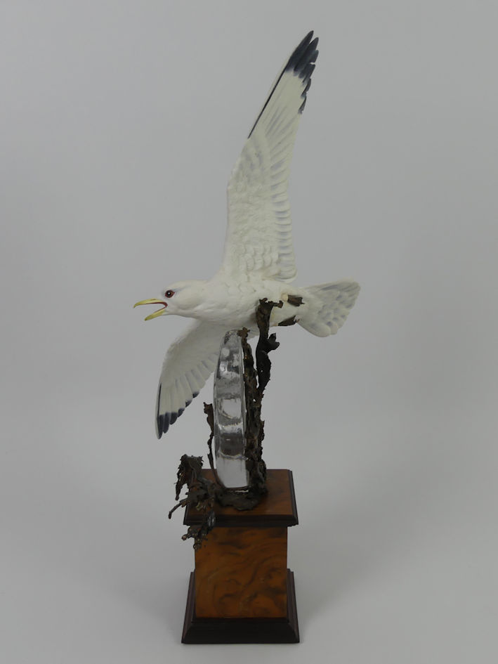 Albany Limited Edition china and bronze Kittiwake mounted on a wooden socle, modelled by David - Image 2 of 5