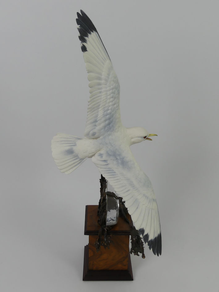 Albany Limited Edition china and bronze Kittiwake mounted on a wooden socle, modelled by David - Image 4 of 5