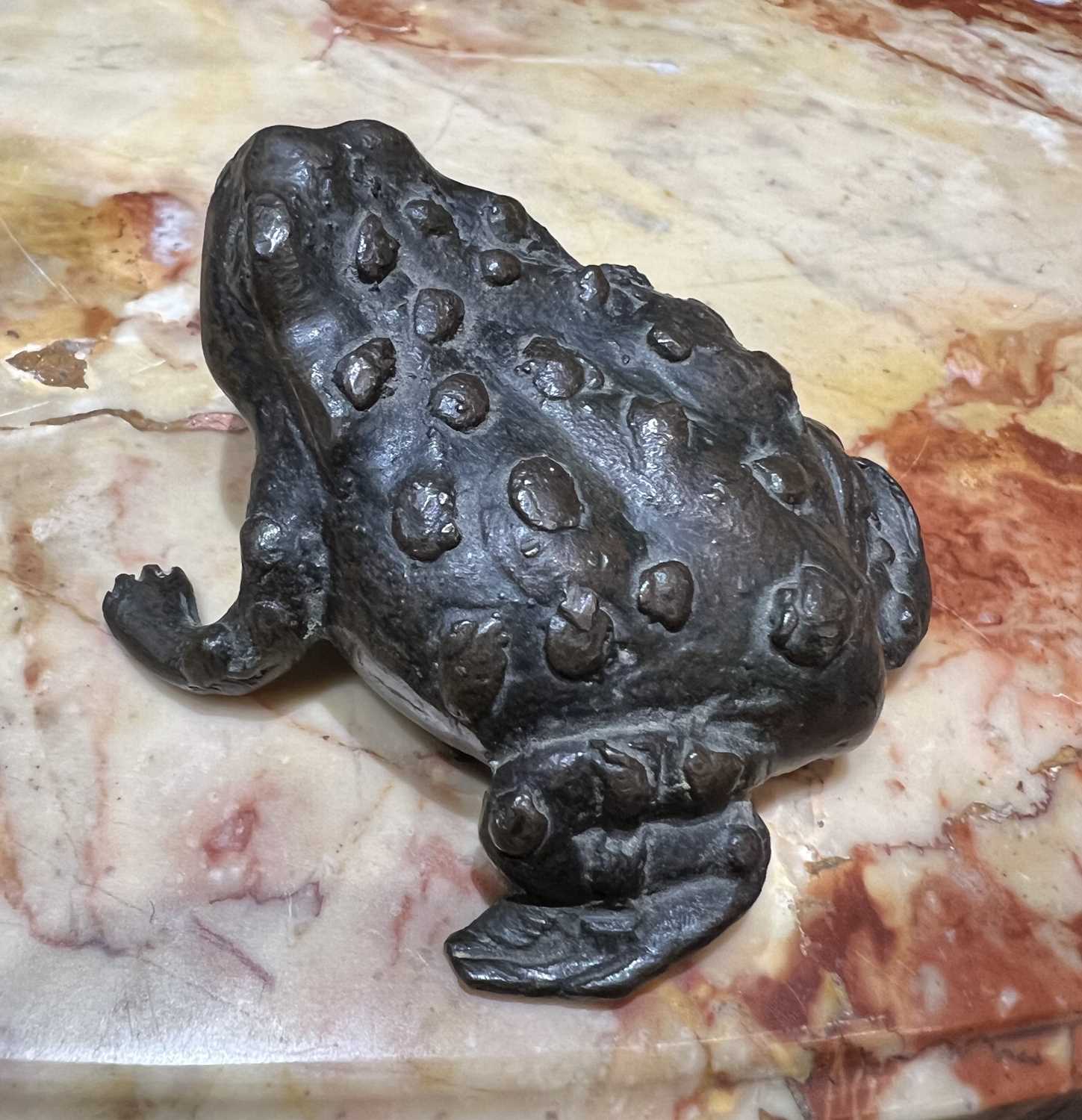 A 16TH CENTURY PADUAN BRONZE MODEL OF A TOAD, PROBABLY A LIFE CAST - Image 4 of 9