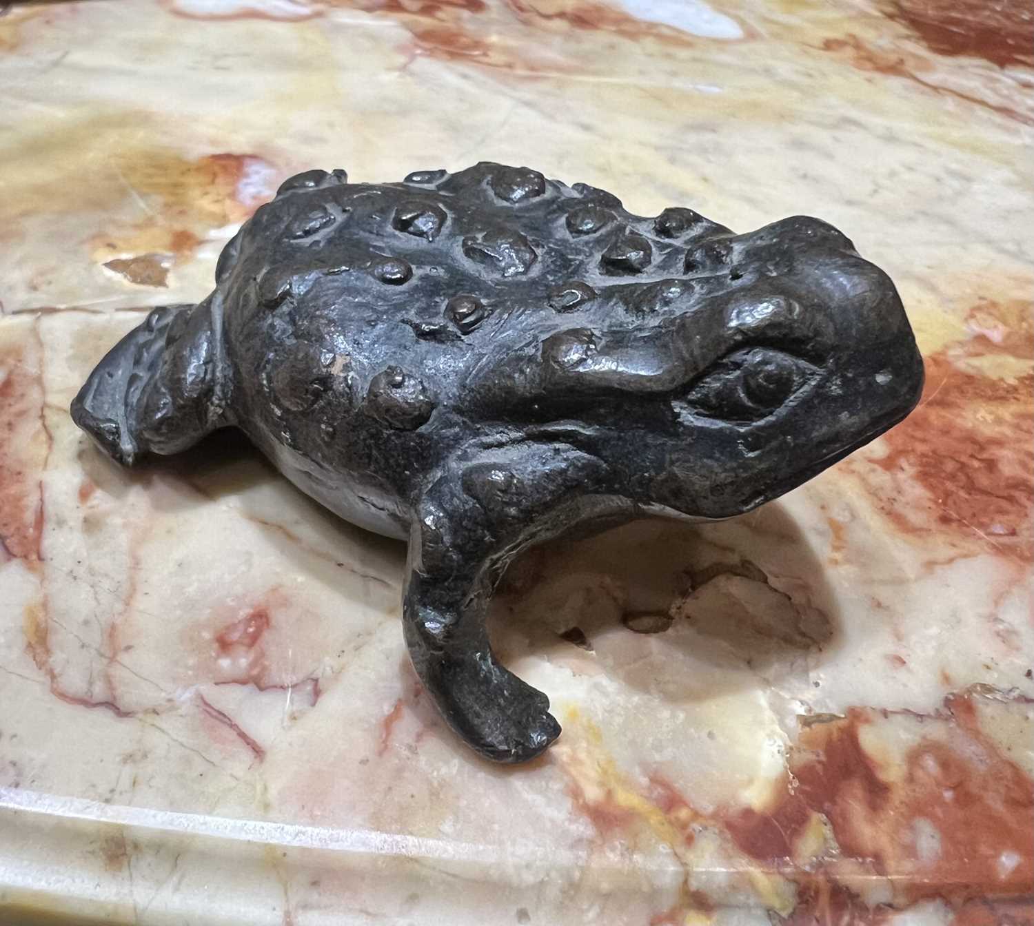 A 16TH CENTURY PADUAN BRONZE MODEL OF A TOAD, PROBABLY A LIFE CAST - Image 9 of 9