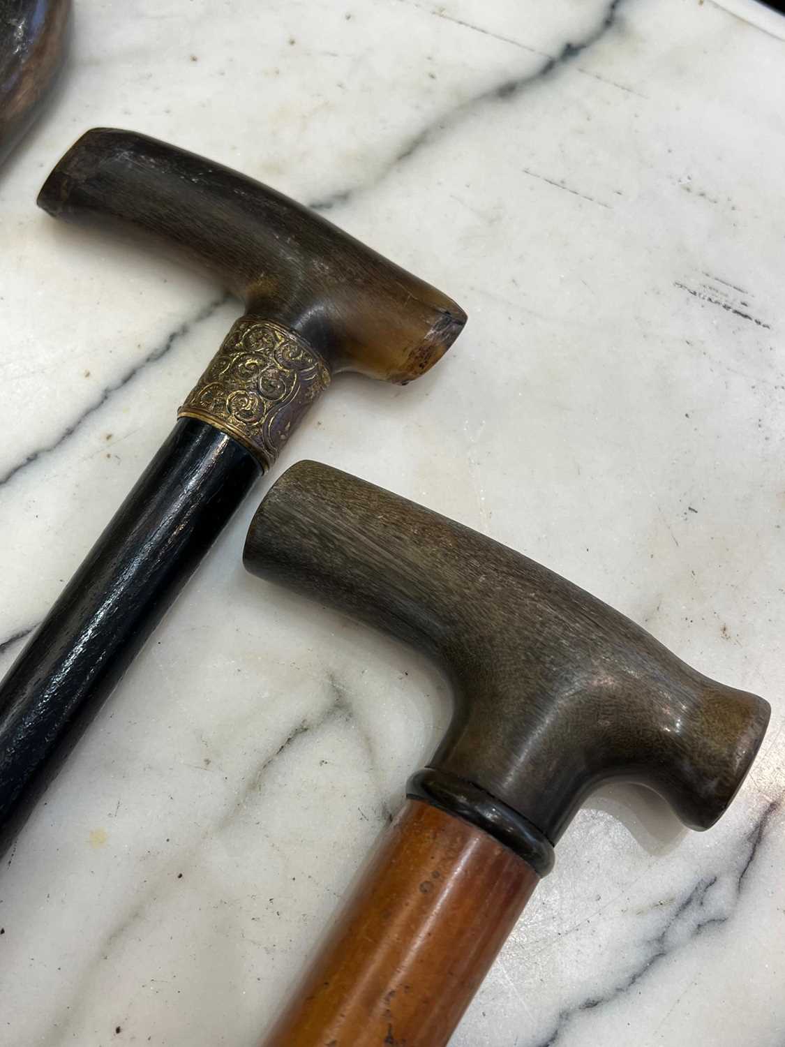 THREE LATE 19TH / EARLY 20TH CENTURY RHINOCEROS HORN HANDLED WALKING CANES - Image 3 of 4