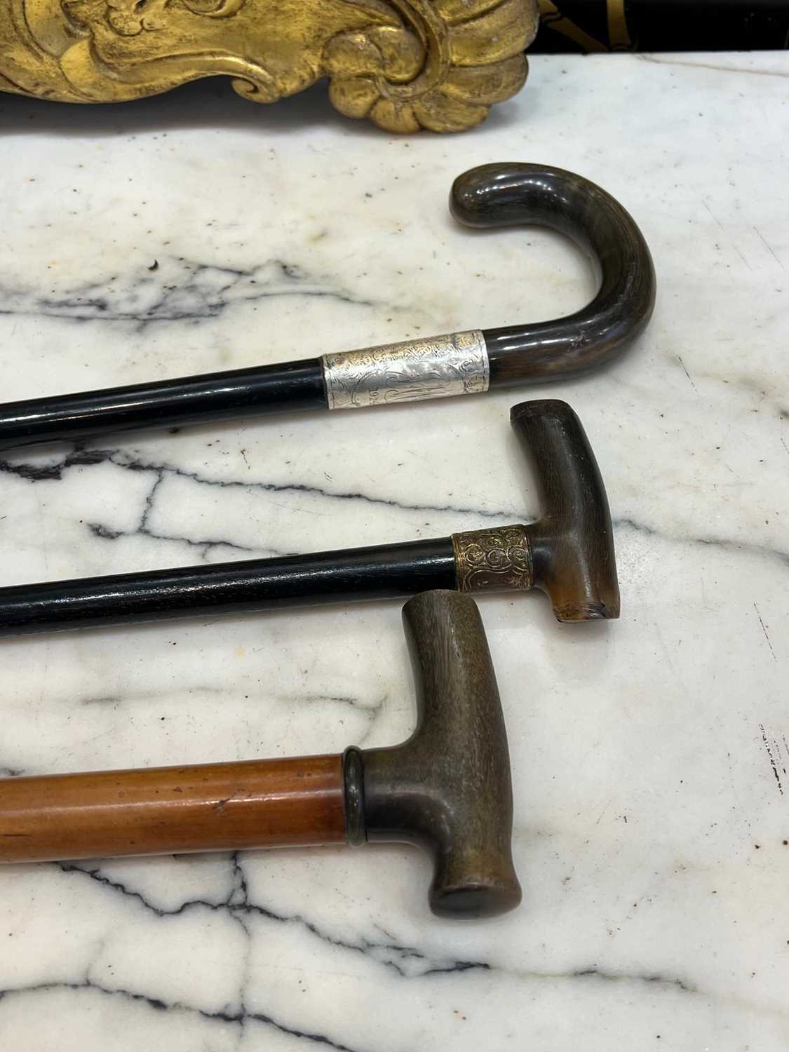 THREE LATE 19TH / EARLY 20TH CENTURY RHINOCEROS HORN HANDLED WALKING CANES - Image 2 of 4