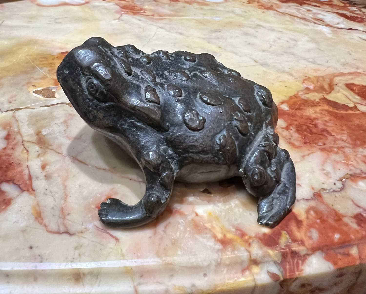 A 16TH CENTURY PADUAN BRONZE MODEL OF A TOAD, PROBABLY A LIFE CAST - Image 2 of 9