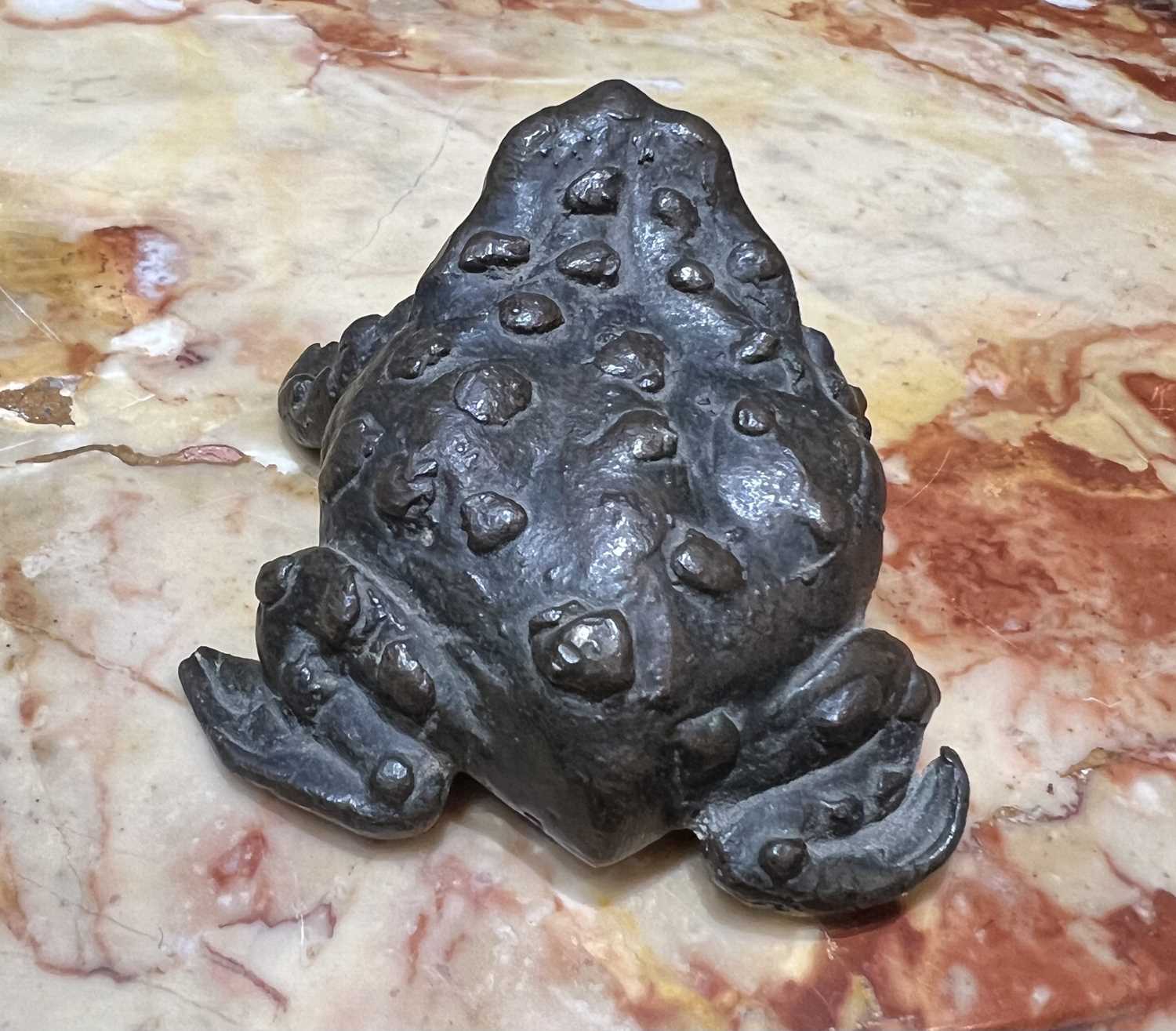 A 16TH CENTURY PADUAN BRONZE MODEL OF A TOAD, PROBABLY A LIFE CAST - Image 5 of 9