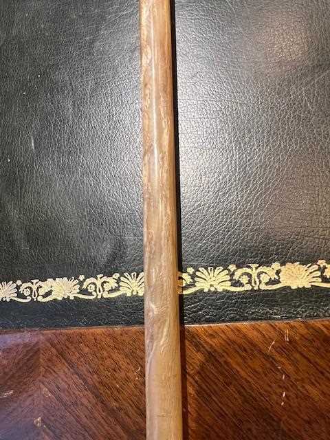 A FINE 19TH CENTURY GOLD MOUNTED FULL RHINOCEROS HORN WALKING CANE - Image 17 of 21