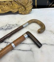 TWO LATE 19TH / EARLY 20TH CENTURY RHINOCEROS HORN HANDLED AND SILVER WALKING CANES