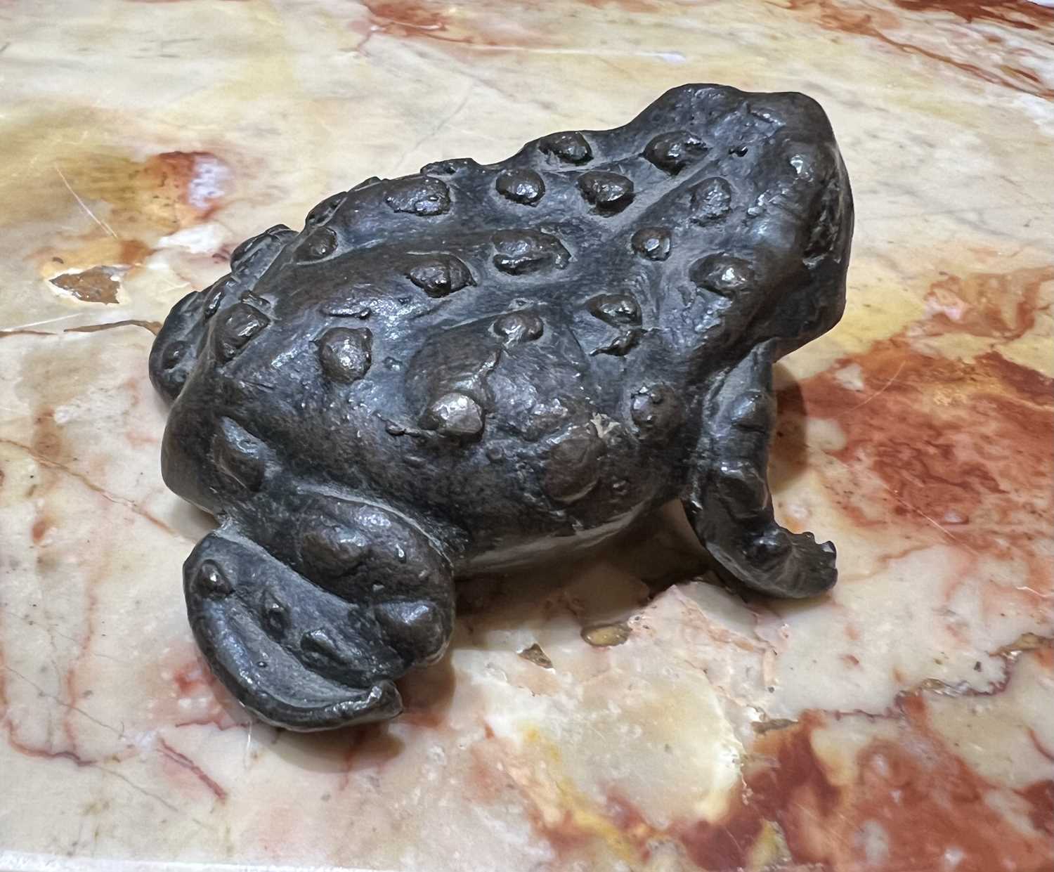 A 16TH CENTURY PADUAN BRONZE MODEL OF A TOAD, PROBABLY A LIFE CAST - Image 8 of 9