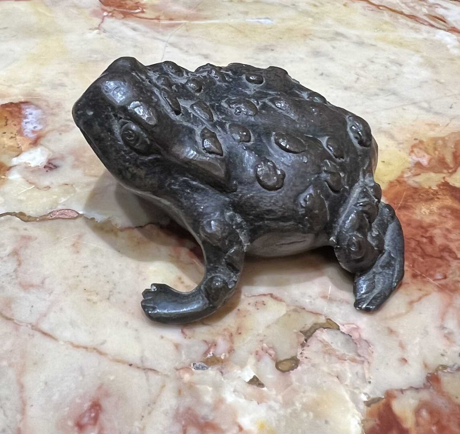 A 16TH CENTURY PADUAN BRONZE MODEL OF A TOAD, PROBABLY A LIFE CAST - Image 7 of 9