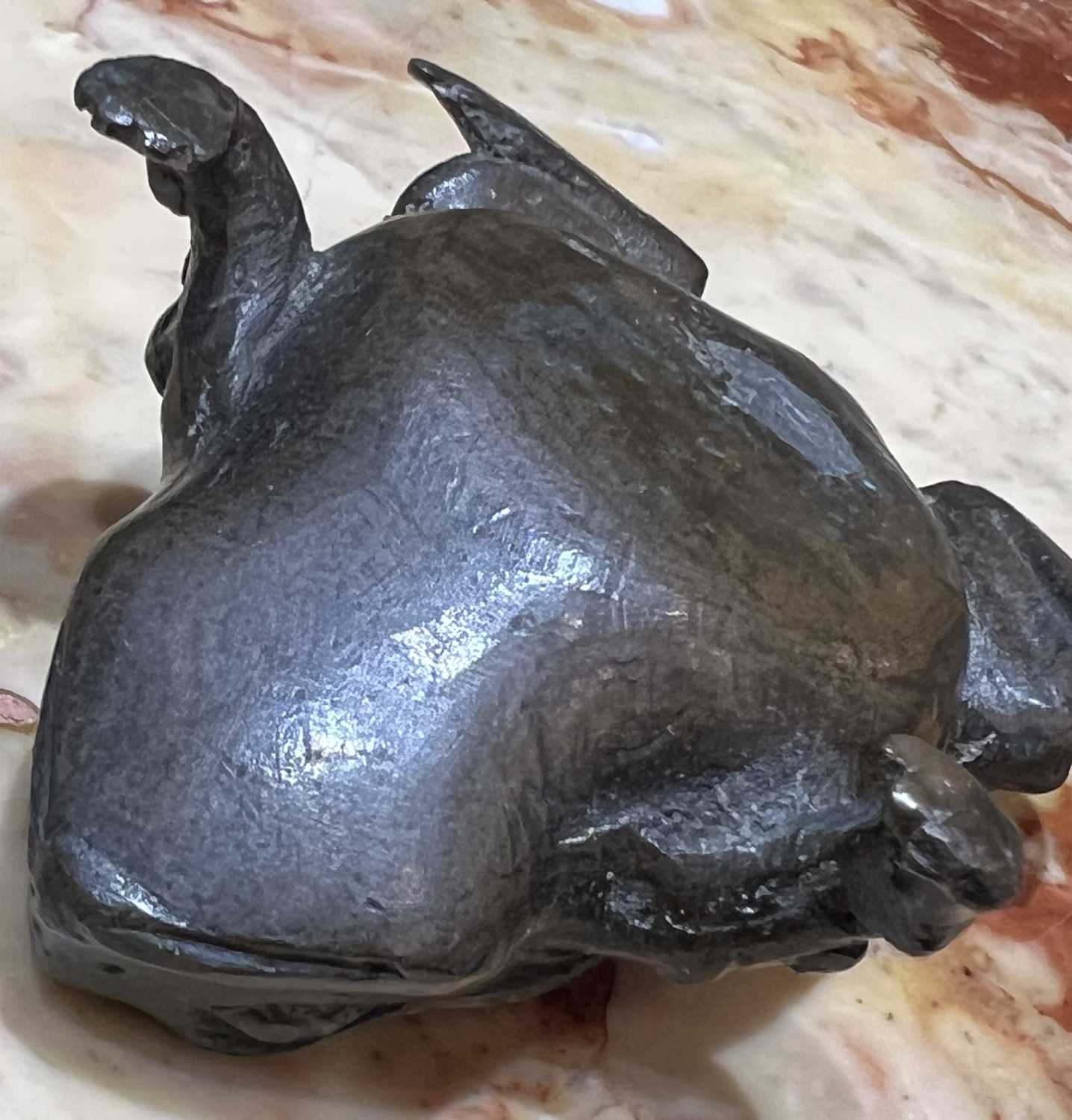 A 16TH CENTURY PADUAN BRONZE MODEL OF A TOAD, PROBABLY A LIFE CAST - Image 3 of 9