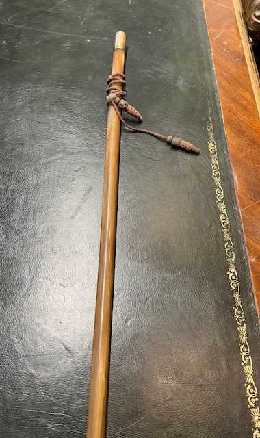 A FINE 19TH CENTURY GOLD MOUNTED FULL RHINOCEROS HORN WALKING CANE - Image 15 of 21