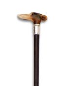 A 19TH CENTURY HORN HANDLED AND SILVER MOUNTED NOVELTY WALKING CANE WITH DOG'S HEAD