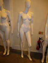 Female Mannequin