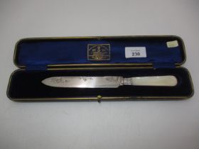 Mother of Pearl and Silver Plated Cake Knife with a Silver Ferrule
