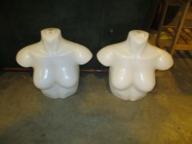 Two Mannequin Busts