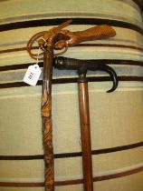 Horn and Carved Claw Handle Walking Sticks