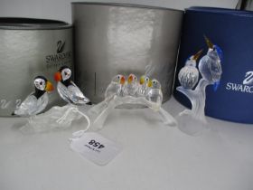 Swarovski Kingfisher, Parrots and Puffin Groups
