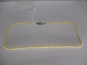 Graduated Pearl Necklace having a Diamond Set White Metal Clasp