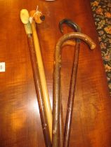 Five Walking Sticks