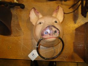 Pig Head with Metal Ring