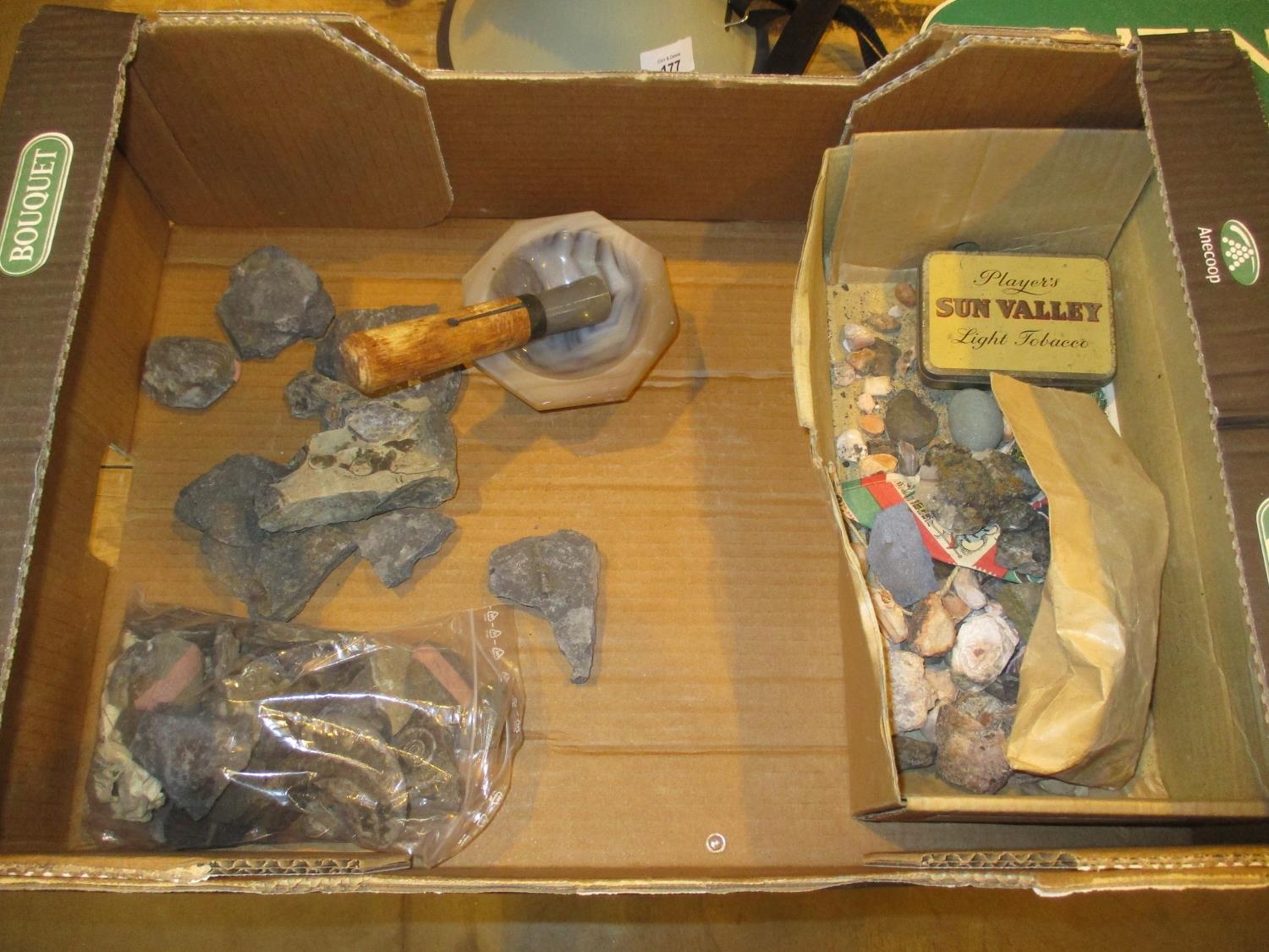 Box of Fossils, Rocks, Agate, Mortar and Pestle etc