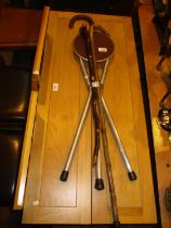 Shooting Stick and 2 Walking Sticks