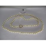La Baroque by Lotus Pearl Necklace having a 9ct Gold and Pearl Set Clasp