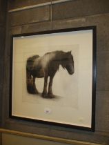 Helen Fay, Etching of a Dales Pony, 21/65