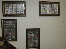 TWO PAIRS OF FRAMED CIGARETTE CARDS - BUTTERFLIES & FLOWERS