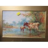 A GILT FRAMED AND GLAZED WATERCOLOUR OF CATTLE IN A STREAM SIGNED LOWER RIGHT 18 X 29 CM