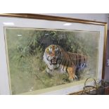 DAVID SHEPHERD - A LARGE FRAMED AND GLAZED PRINT OF A TIGER, SIGNED 64 X 102 CM