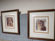 IAN NATHAN - A SET OF FOUR FRAMED AND SIGNED WILDLIFE PRINTS