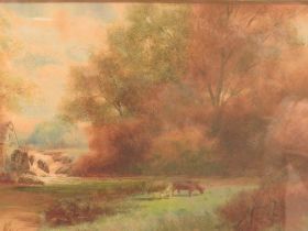 A FRAMED AND GLAZED WATERCOLOUR OF COWS GRAZING IN A FIELD, WATER MILL AND TREES BEYOND SIGNED F.