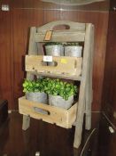 A WOODEN PLANT STAND AND PLANTS