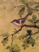 DAVID ALAN FINNEY (b.1961). Study of a pied wagtail in an oak tree, see verso, signed lower right,