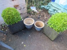 FOUR PLANTERS - COMPRISING TWO PLASTIC TO INCLUDE BUSHES AND TWO CERAMIC