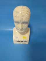 A REPRODUCTION PHRENOLOGY HEAD