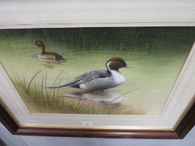 DAVID A FINNEY - A FRAMED WATERCOLOUR DEPICTING DUCKS - 31.5 X 45 CM