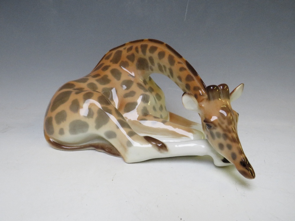 A LOMONOSOV USSR CERAMIC FIGURE OF A RECUMBERENT GIRAFFE - Image 2 of 5