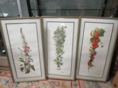 THREE DOROTHEA HYDE SIGNED COLOURED PRINTS