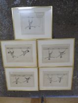 FIVE LATE 18TH CENTURY FENCING INTEREST ENGRAVINGS ( IN LATER FRAMES ) SHOWING VARIOUS SCENES OF