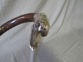 A LATE 19TH / EARLY 20TH CENTURY WALKING STICK WITH HALLMARKED SILVER MOUNTED HANDLE - BIRMINGHAM