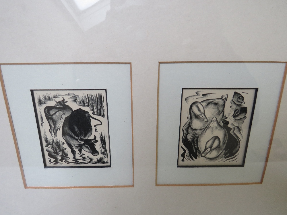 AGNES MILLER PARKER (1895-1980). Two woodcuts depicting cattle and ducks in one frame, 7.5 x 6 cm - Image 2 of 3