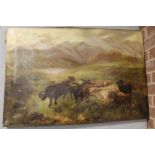 AN UNFRAMED OIL ON CANVAS DEPICTING HIGHLAND CATTLE