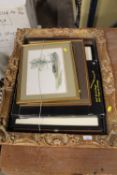 A CARVED GILT FRAME TOGETHER WITH A SELECTION OF PICTURES ETC