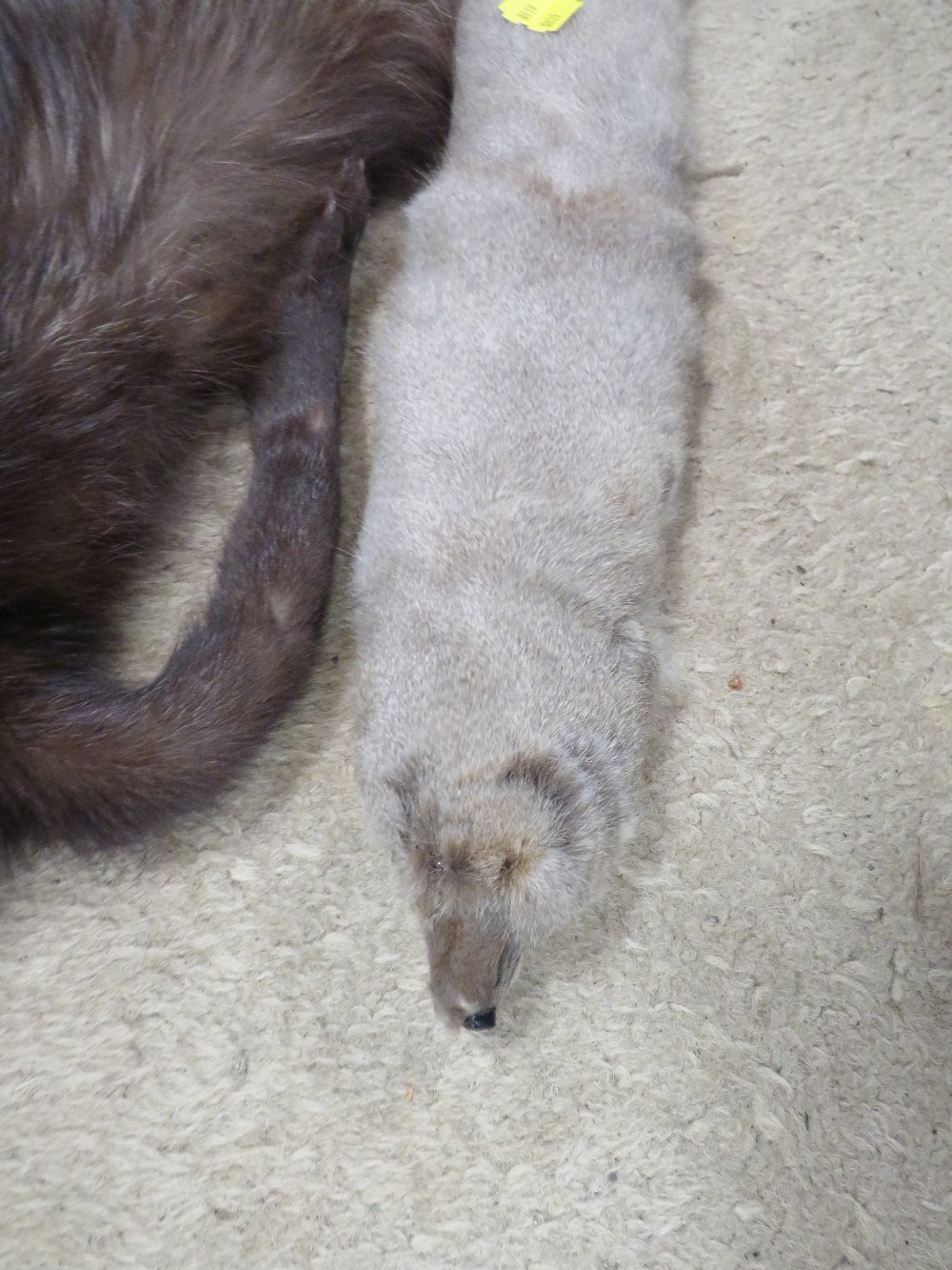 A TRAY OF VINTAGE FUR STOLES / COLLARS TO INCLUDE A FOX FUR STOLE ETC - Image 3 of 4