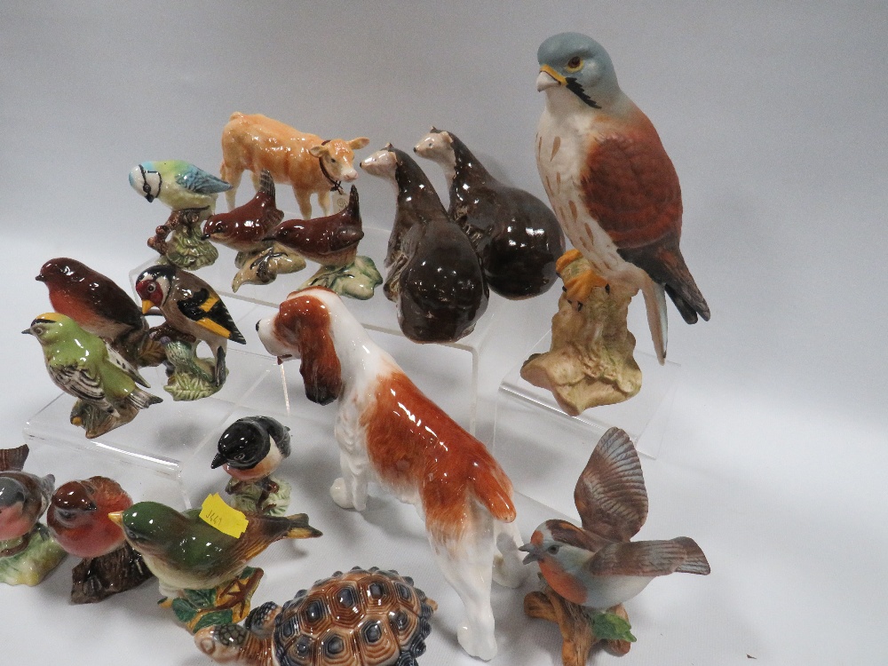 A SELECTION OF CERAMIC ANIMALS TO INCLUDE BESWICK BIRDS - Image 5 of 5
