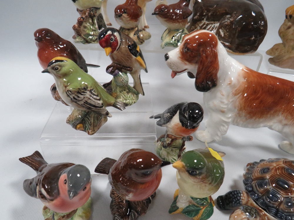 A SELECTION OF CERAMIC ANIMALS TO INCLUDE BESWICK BIRDS - Image 3 of 5